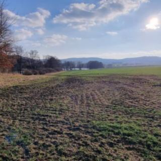 Prodej zemědělské půdy 47 205 m² Staré Sedliště Nové Sedliště