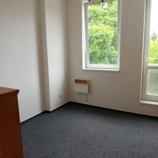 Pronájem bytu 1+kk a garsoniéry 17 m² Sázava, Poznaňská