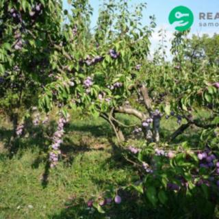 Prodej zahrady 608 m² Čejč