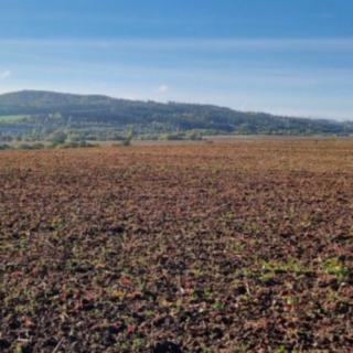 Prodej zemědělské půdy 3 997 897 m² Lubenec Libkovice