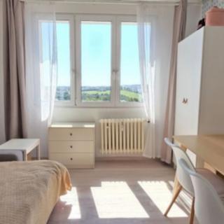 Pronájem bytu 1+kk a garsoniéry 25 m² Tachov, Bělojarská