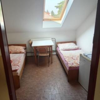 Pronájem bytu 5+1 a více 25 m² Pardubice, Bílé Předměstí