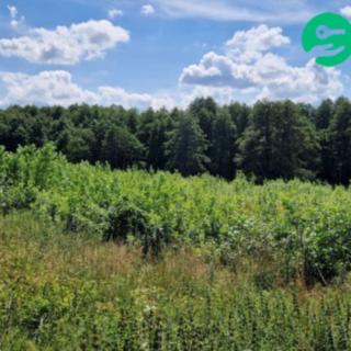 Prodej stavební parcely 8 743 m² Hamr na Jezeře Břevniště