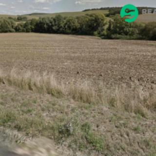 Prodej zemědělské půdy 89 278 m² Boršice u Blatnice