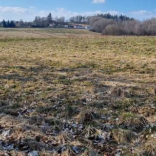 Prodej zemědělské půdy 192 062 m² Halže