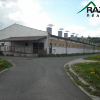 Prodej zemědělského objektu 5 900 m² Přimda Velké Dvorce, Velké Dvorce