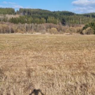 Prodej zemědělské půdy 141 968 m² Halže Svobodka