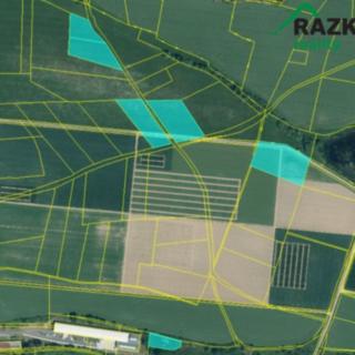 Prodej zemědělské půdy 19 860 m² Horažďovice