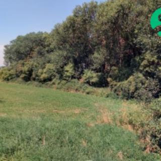 Prodej ostatních pozemků 620 m² Načeradec
