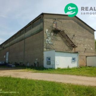 Prodej skladu 2500 m² Dašice