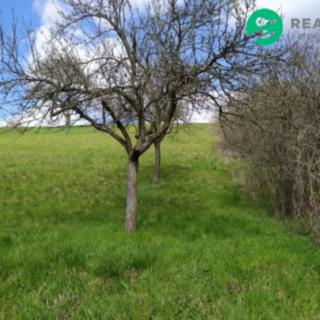 Prodej zahrady 571 m² Hradčovice Lhotka