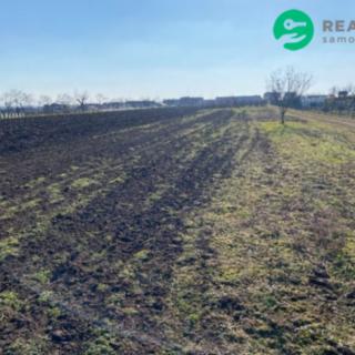 Prodej zemědělské půdy 3165 m² Moravská Nová Ves