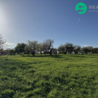 Prodej stavební parcely 2 000 m² Syrovice