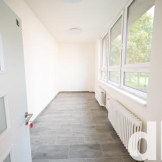 Pronájem ostatního komerčního prostoru 13 m² Karlovy Vary Rybáře, U Koupaliště