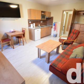 Pronájem bytu 1+kk a garsoniéry 32 m² Karlovy Vary, Vítězná