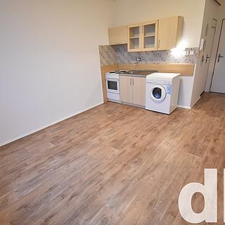 Pronájem bytu 1+kk a garsoniéry 20 m² Karlovy Vary Bohatice, Kpt. Nálepky