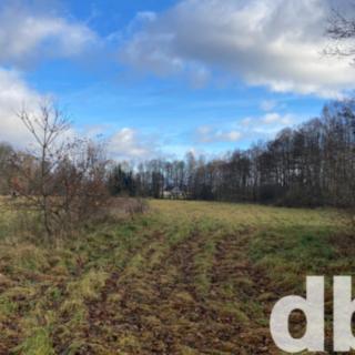 Prodej zemědělské půdy 22 490 m² Ostrov Kfely