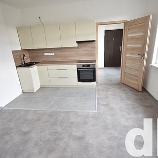 Pronájem bytu 2+kk 45 m² Karlovy Vary Rybáře, Rohová