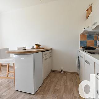 Prodej bytu 1+kk, garsoniery 22 m&sup2; Chodov