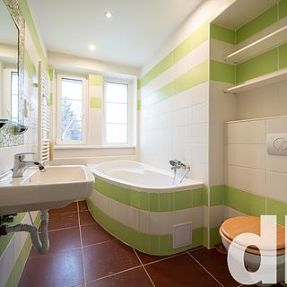 Pronájem bytu 3+kk 49 m&sup2; Dalovice