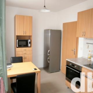 Pronájem bytu 1+1 37 m² Karlovy Vary Stará Role, Nejdlova