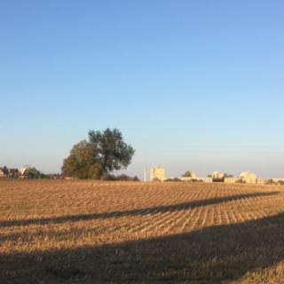 Prodej komerčního pozemku 20 875 m² Český Brod, Palackého
