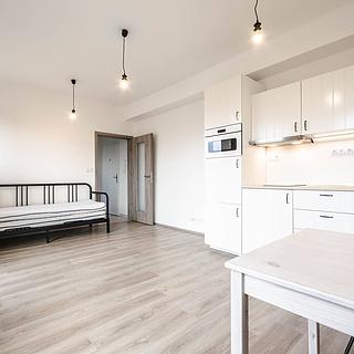 Pronájem bytu 1+kk a garsoniéry 32 m² Praha Vršovice, Novgorodská