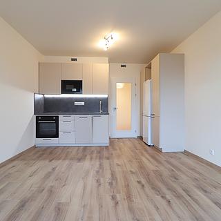 Pronájem bytu 1+kk, garsoniery 30 m&sup2; Praha