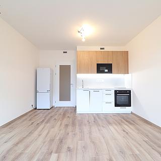 Pronájem bytu 1+kk, garsoniery 30 m&sup2; Praha