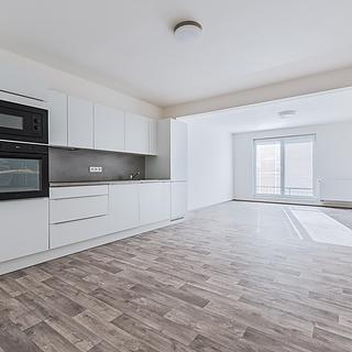 Pronájem bytu 3+kk 66 m² Nehvizdy