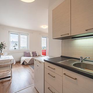 Pronájem bytu 1+kk a garsoniéry 7 476 m² Praha Kyje, Davidovičova