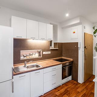 Prodej bytu 2+1 47 m² Praha Libeň, V mezihoří