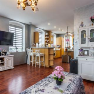 Prodej ostatního komerčního prostoru 1 453 m² Mařenice