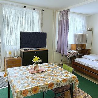 Prodej bytu 1+kk, garsoniery 34 m² Kladno