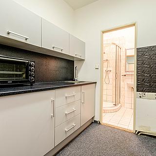 Pronájem bytu 1+1 33 m&sup2; Roudnice nad Labem