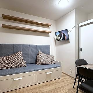 Pronájem bytu 1+kk a garsoniéry 20 m² Praha Záběhlice, Dunická