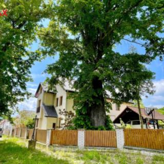 Prodej rodinného domu 353 m² Černošice