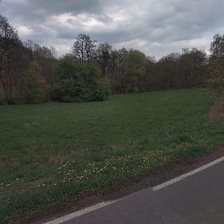 Prodej lesa 14 373 m² Jirkov Březenec