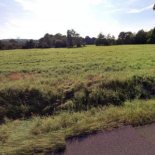 Prodej lesa 71 898 m² Jirkov Březenec