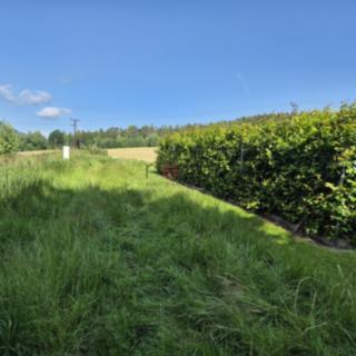 Prodej stavební parcely 1 725 m² Cvikov I