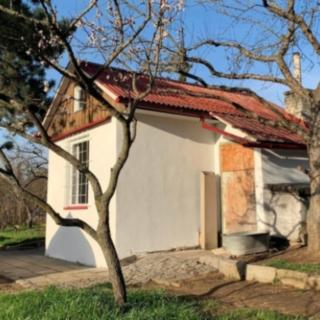 Pronájem zahrady 340 m² Brno