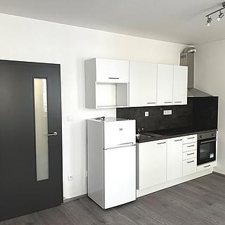 Pronájem bytu 1+kk, garsoniery 30 m&sup2; Brno