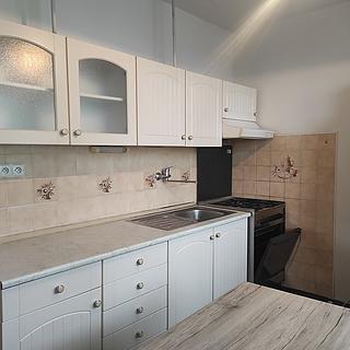 Pronájem bytu 1+1 40 m² Brno