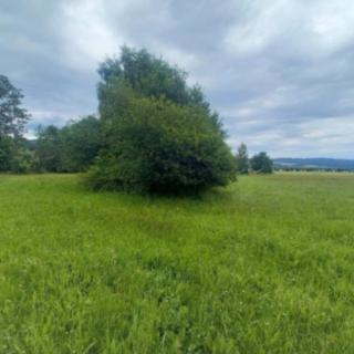 Prodej stavební parcely 974 m² Štíty Heroltice
