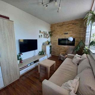 Prodej bytu 2+1 46 m² Hrušovany u Brna, Vodní
