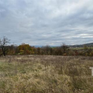 Prodej stavební parcely 12 680 m² Suchý