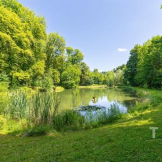 Prodej ostatního pozemku 17 199 m² Lysice