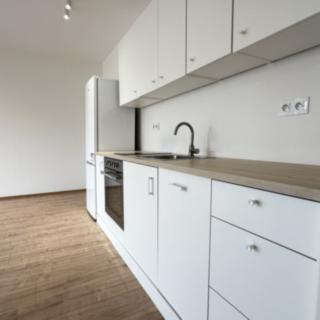 Pronájem bytu 2+kk 56 m² Praha