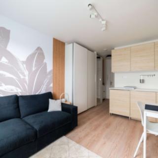 Prodej bytu 1+kk, garsoniery 19 m² Praha