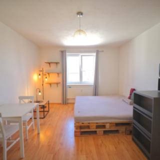 Pronájem bytu 1+kk a garsoniéry 34 m² Plzeň Východní Předměstí, Božkovská